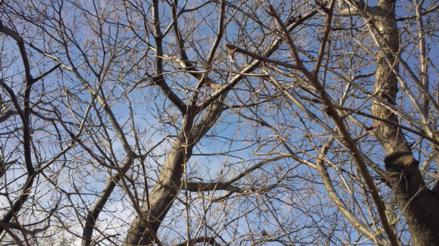 f0231709_11312720.jpg