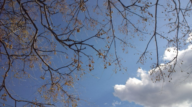 f0231709_1132025.jpg