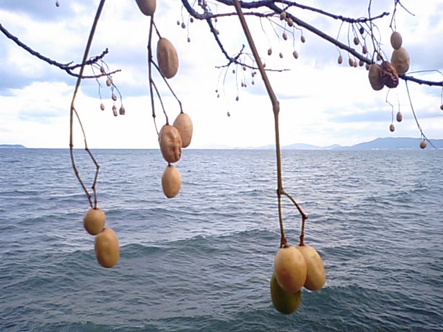 f0231709_11342899.jpg
