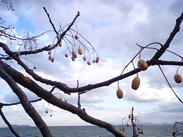 f0231709_11345326.jpg