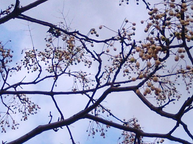 f0231709_11351693.jpg