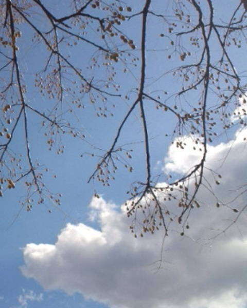 f0231709_11363367.jpg