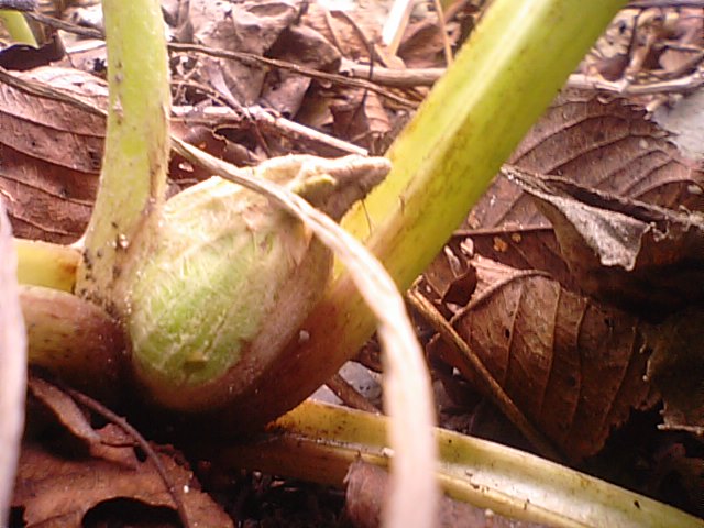 f0231709_23324368.jpg