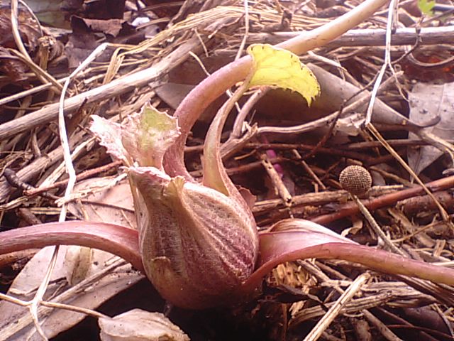 f0231709_23342825.jpg