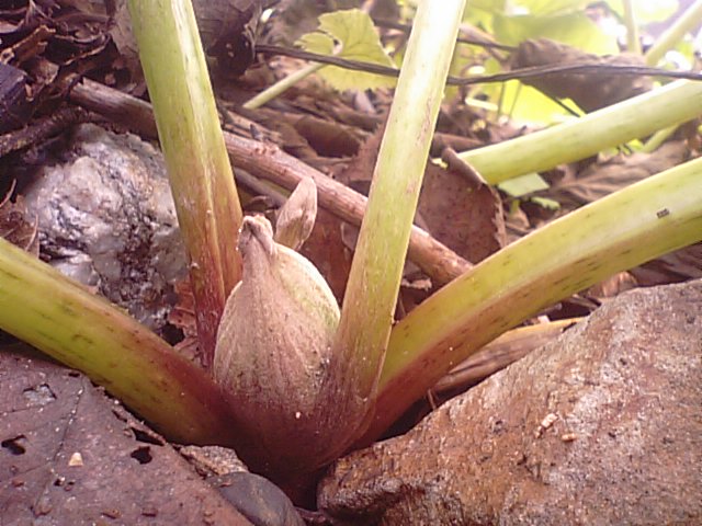f0231709_233456100.jpg