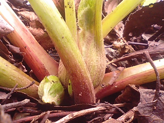 f0231709_23354839.jpg