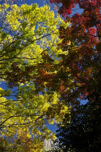 c0153411_23332515.jpg