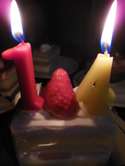 f0208812_23541973.jpg
