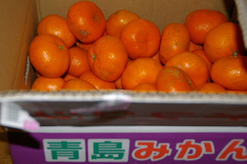 f0212217_22402418.jpg