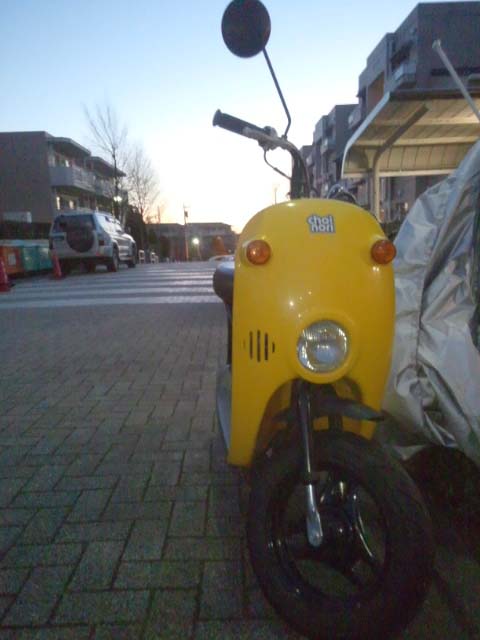 c0083518_843347.jpg