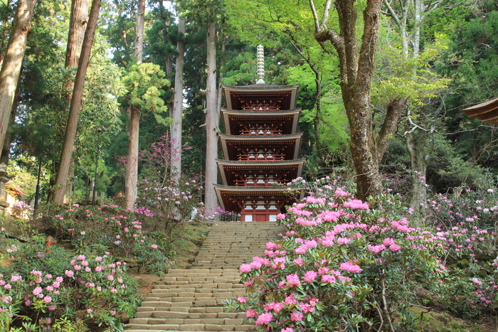 d0283427_20554790.jpg