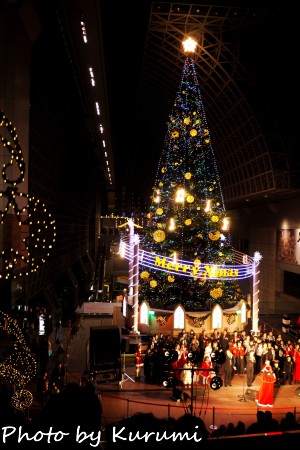 a0214632_7343251.jpg