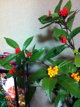 c0036138_040465.jpg