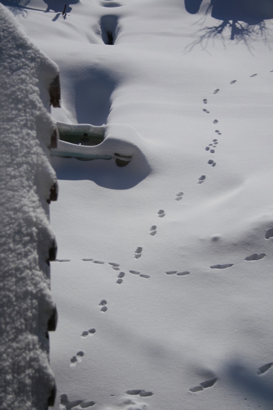 d0049138_16452984.jpg