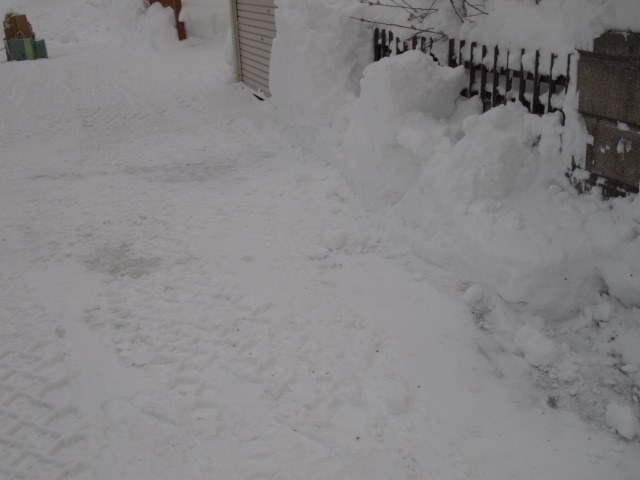 c0117239_8503751.jpg