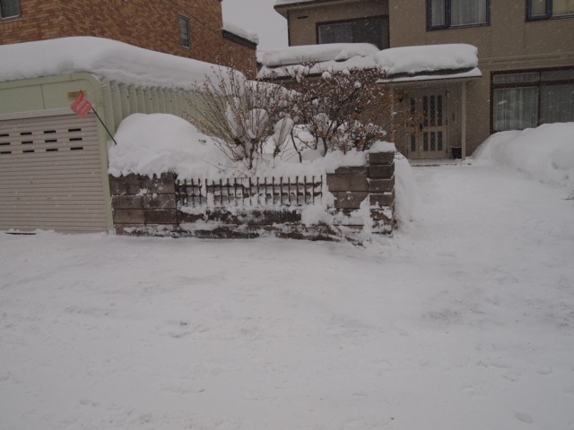 c0117239_852816.jpg