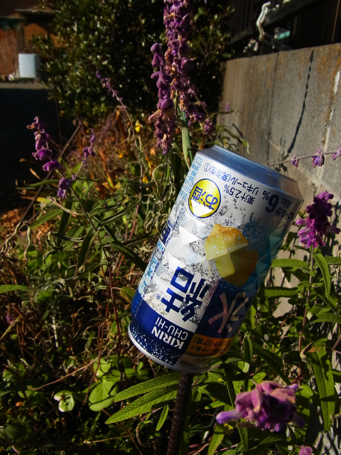 a0087341_8144358.jpg