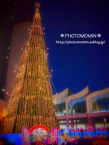 a0172271_23455070.jpg