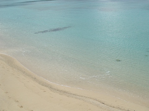 e0078071_1451485.jpg