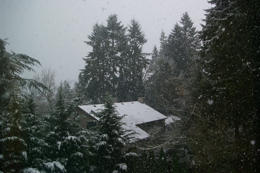 f0112080_1024383.jpg