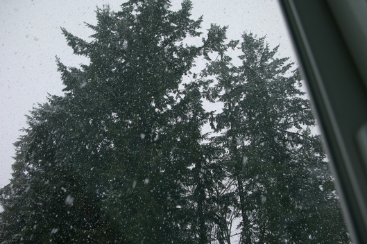 f0112080_106210.jpg