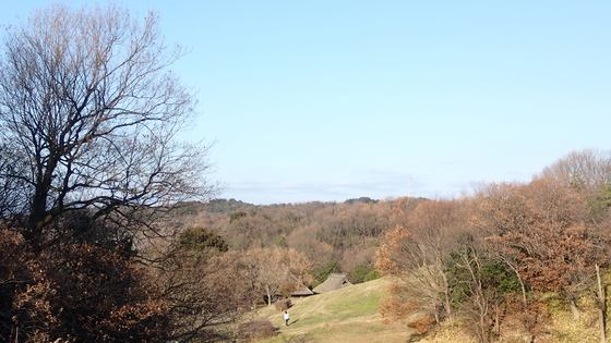 e0024081_16542661.jpg
