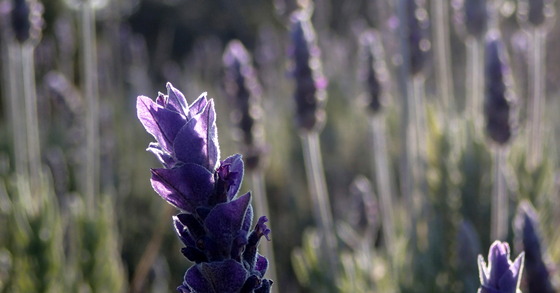 e0024081_16551315.jpg