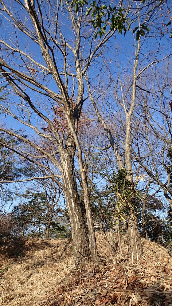 e0024081_16551627.jpg