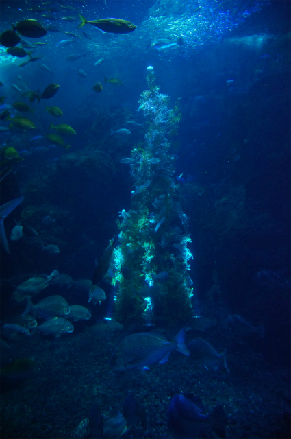 b0145398_2311344.jpg