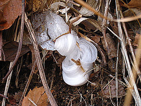 d0046702_552197.jpg
