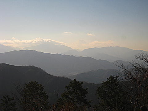d0046702_584230.jpg