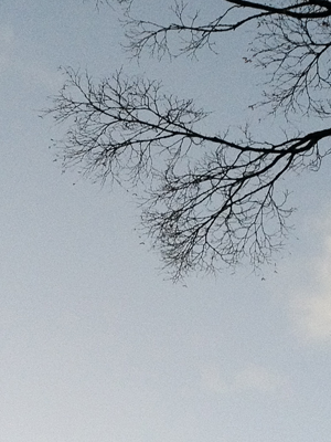 a0201204_8575730.jpg