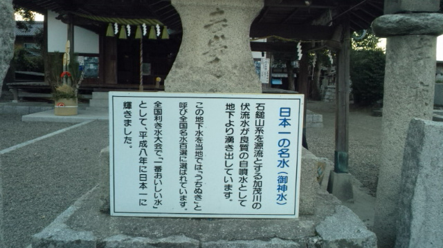 f0231709_1748195.jpg