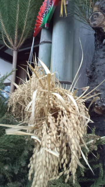 f0231709_17521054.jpg