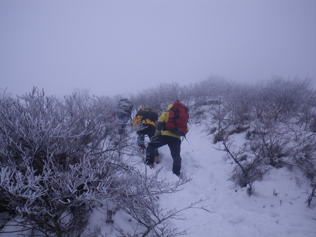d0006512_13194569.jpg