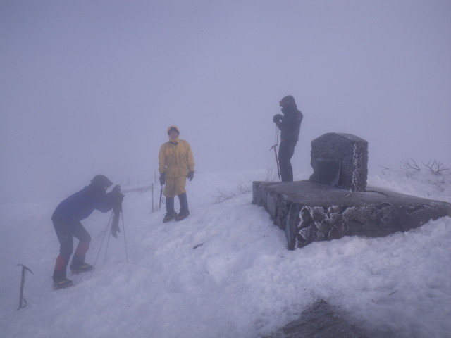 d0006512_13205420.jpg