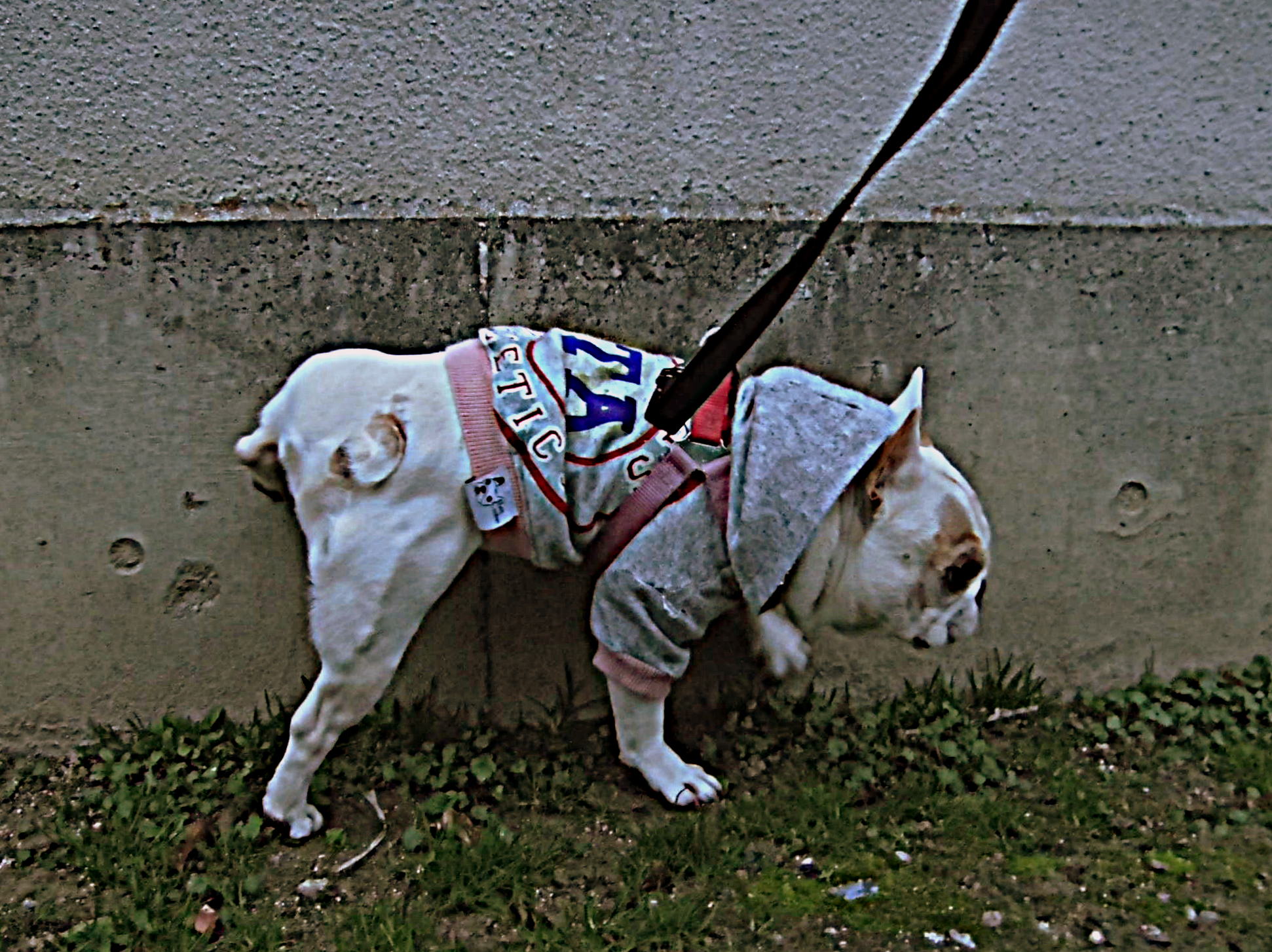 a0158613_9304057.jpg