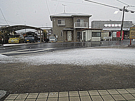 a0158613_9375790.jpg