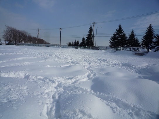 a0109914_174316.jpg