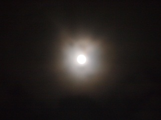 d0190719_21271290.jpg