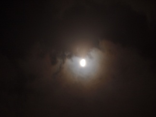 d0190719_2127425.jpg