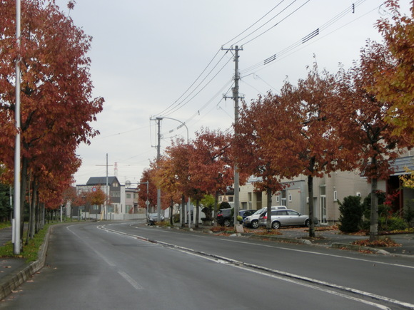 d0136122_2116893.jpg