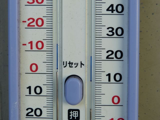 a0188023_891120.jpg