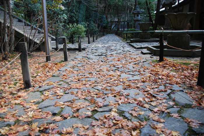 a0192923_1735157.jpg