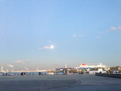 f0201745_1514939.jpg
