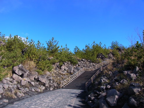 c0171349_937164.jpg