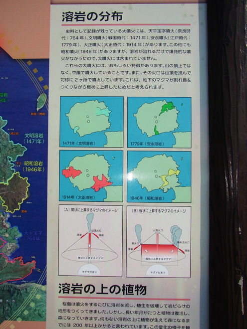 c0171349_941212.jpg