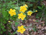 e0088260_15252789.jpg