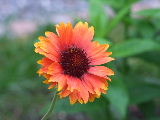 e0088260_15285733.jpg