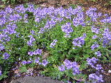 e0088260_15291631.jpg